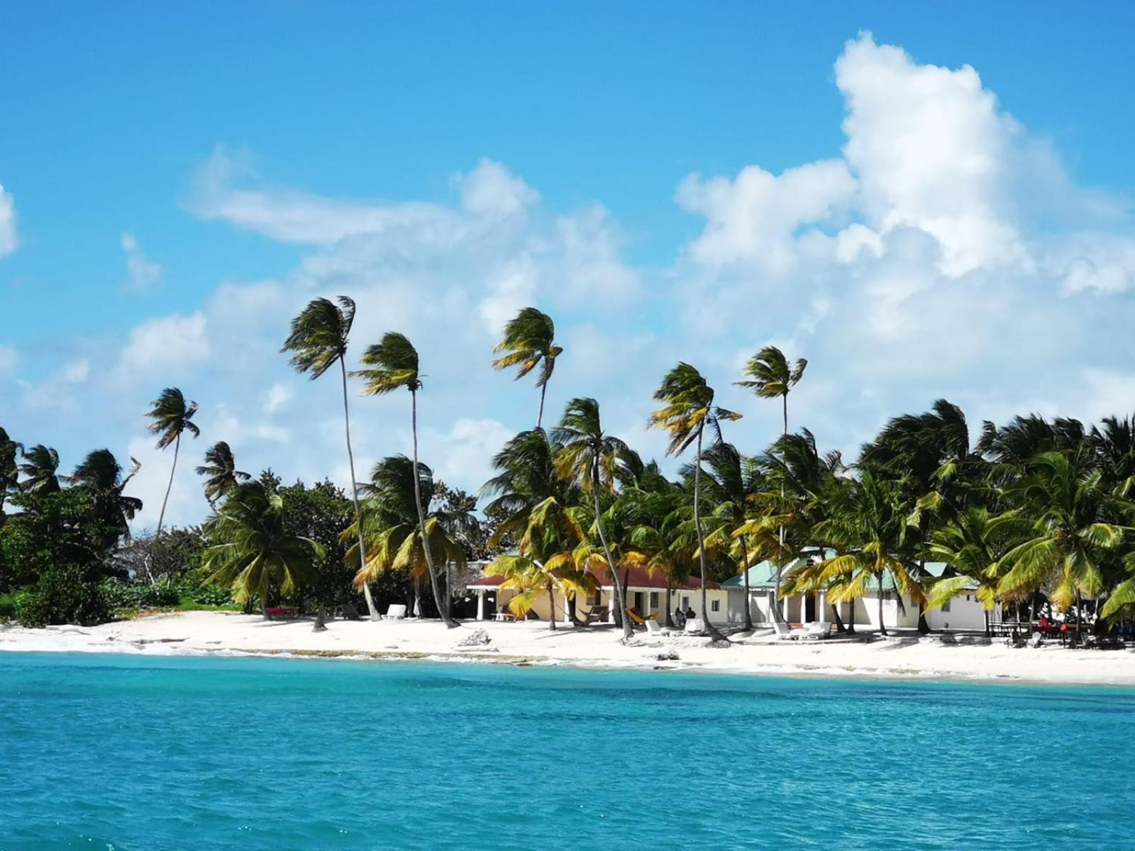 Saona Beach House - Bed And Breakfast Mano Juan Exterior photo