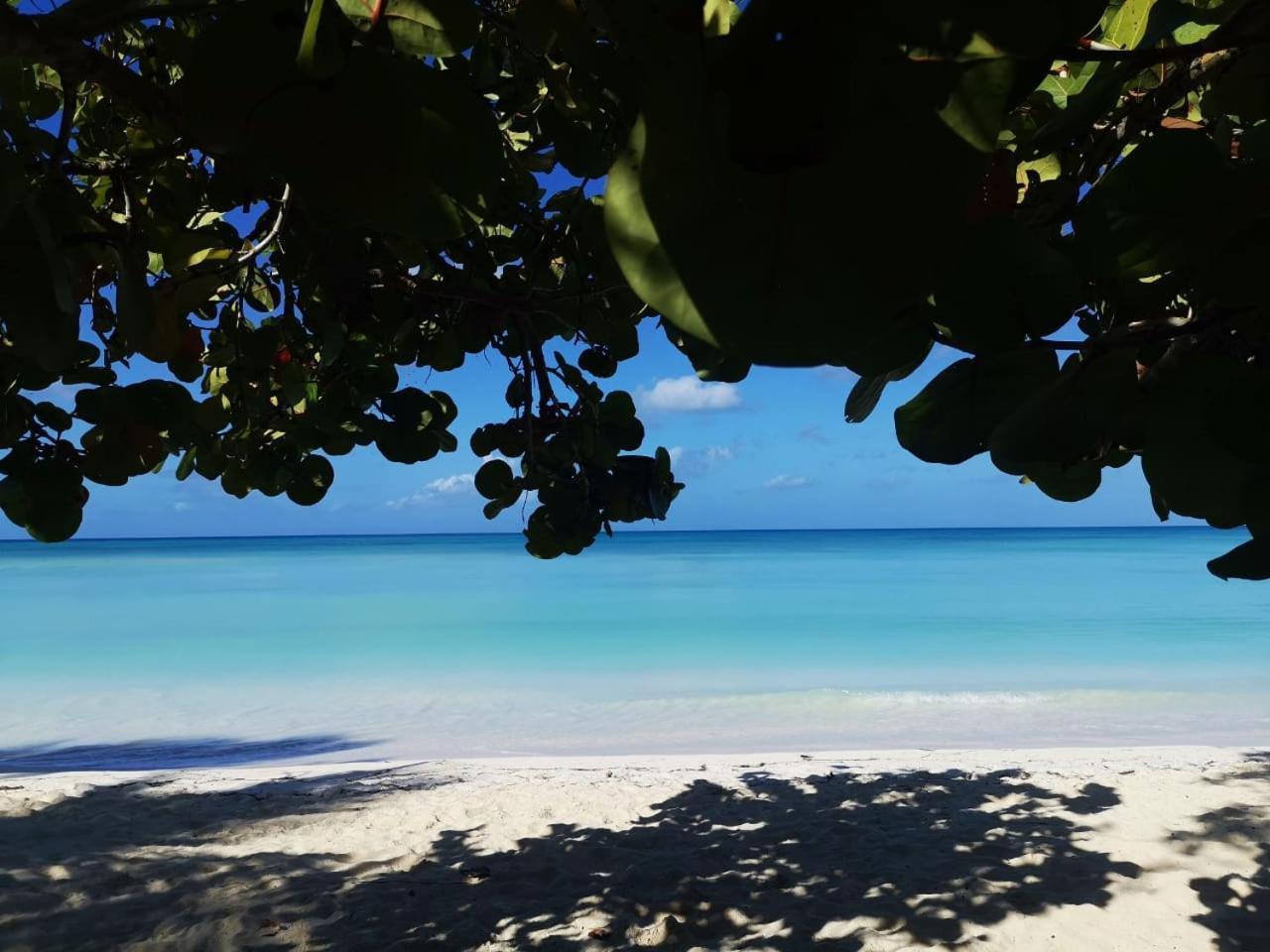 Saona Beach House - Bed And Breakfast Mano Juan Exterior photo