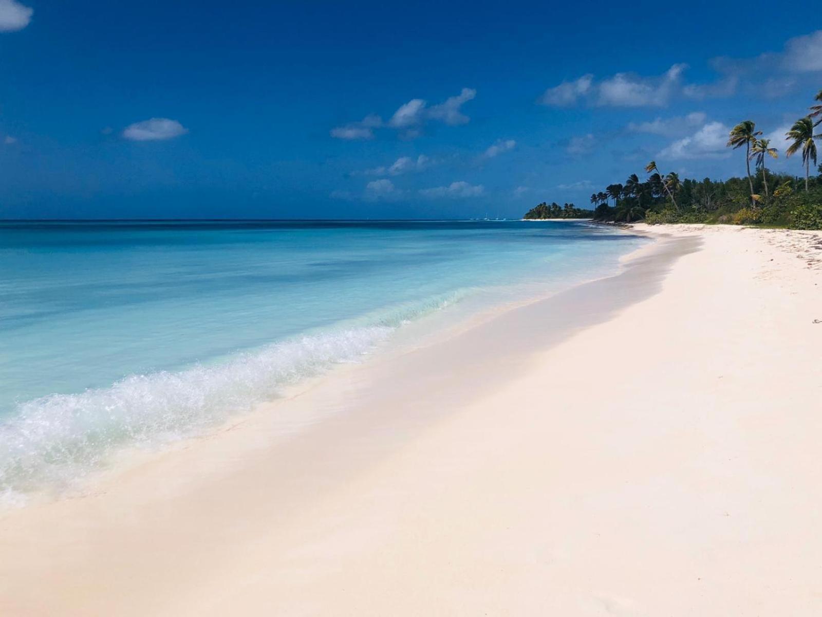 Saona Beach House - Bed And Breakfast Mano Juan Exterior photo