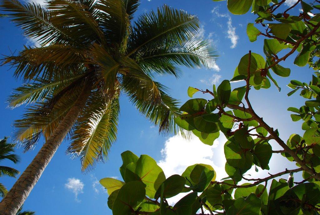 Saona Beach House - Bed And Breakfast Mano Juan Exterior photo