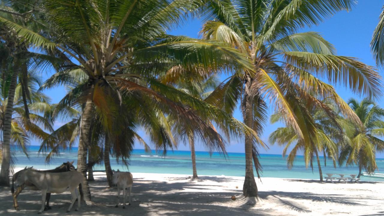 Saona Beach House - Bed And Breakfast Mano Juan Exterior photo