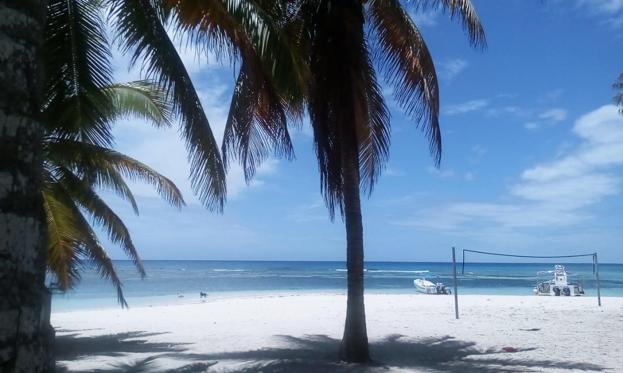 Saona Beach House - Bed And Breakfast Mano Juan Exterior photo