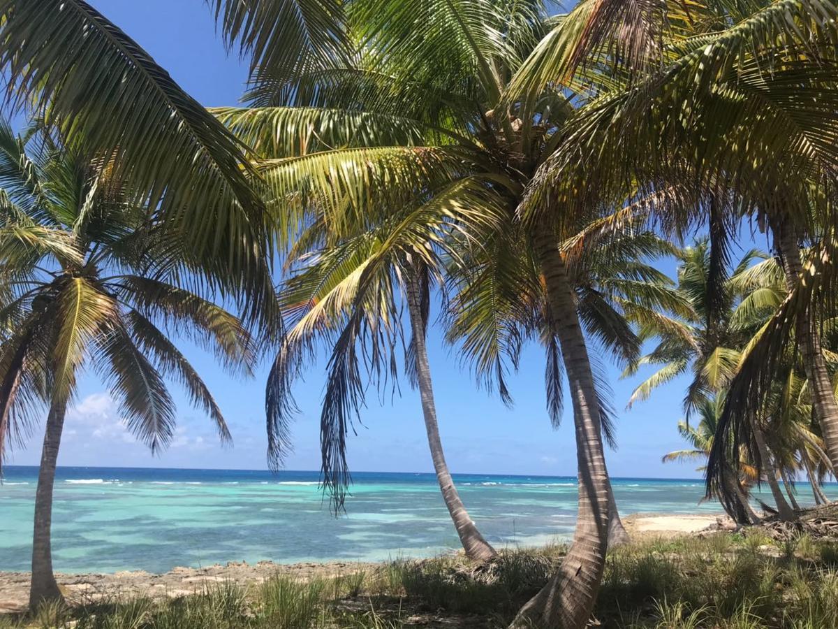 Saona Beach House - Bed And Breakfast Mano Juan Exterior photo